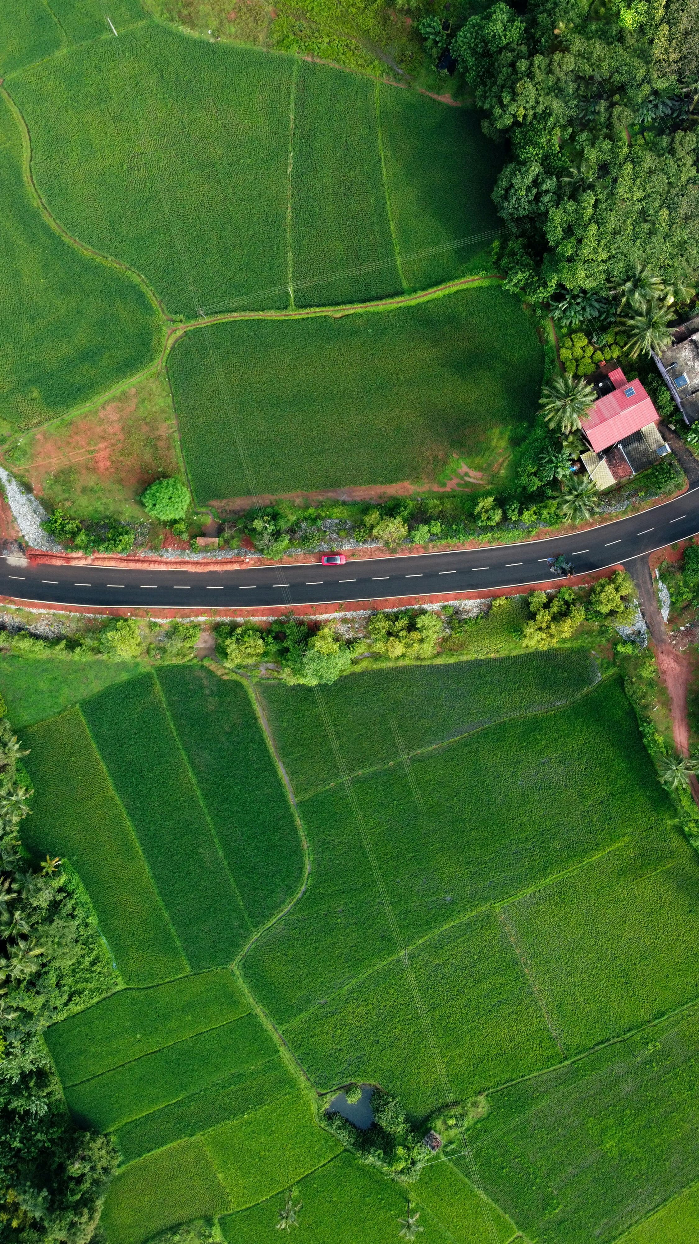 Aerial view of green fields divided by a road